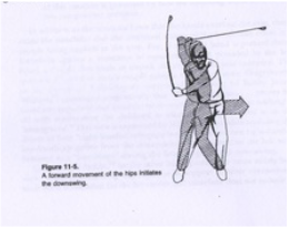 What biomechanics contribute to the power and accuracy of the golf ...